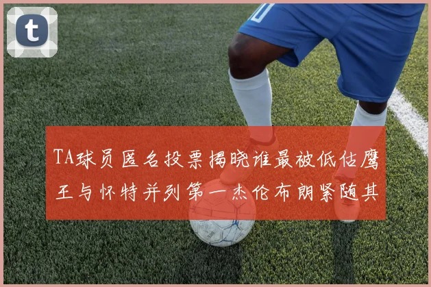TA球员匿名投票揭晓谁最被低估鹰王与怀特并列第一杰伦布朗紧随其后